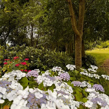 Hofstede De Rieke Smit 3* Wilsum