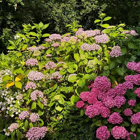 Hofstede De Rieke Smit Wilsum